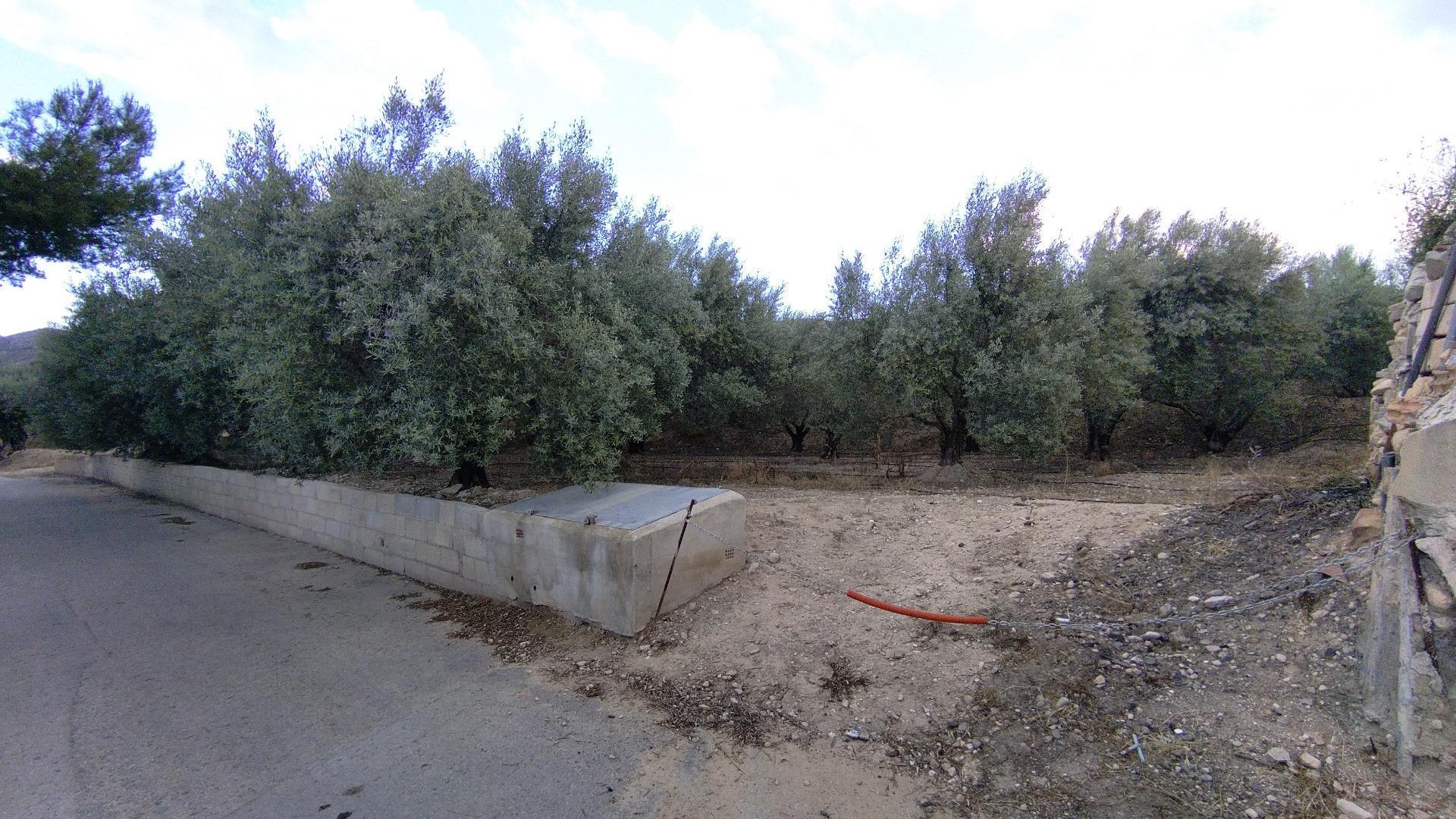 Land in Calasparra for sale Building Photo- Image 1 of 17