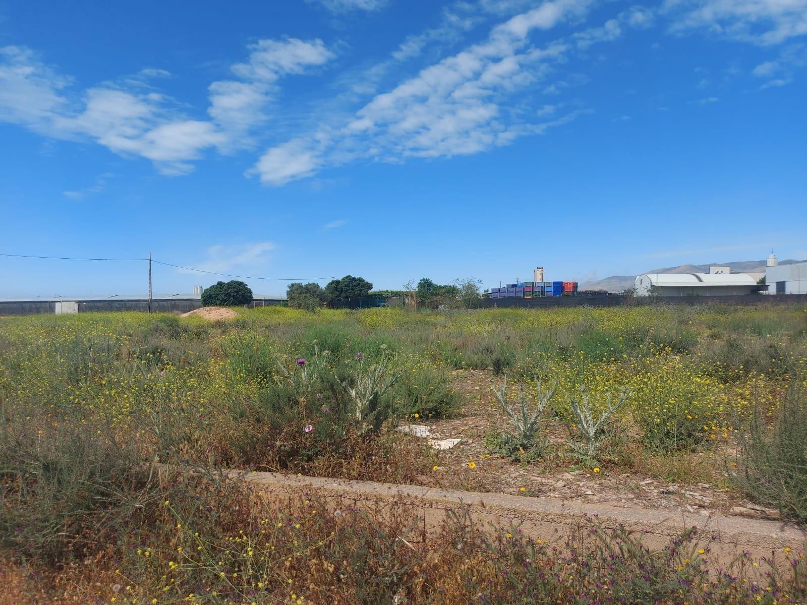 Land in El Ejido, Almería for sale Site Plan- Image 1 of 5