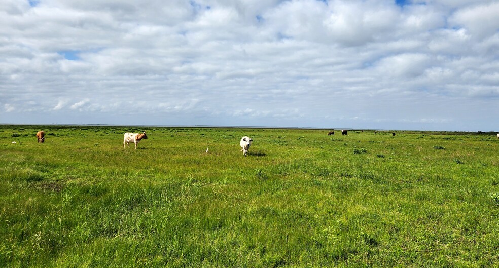 0 Termini San Luis Pass Rd, Galveston, TX for sale - Other - Image 3 of 4