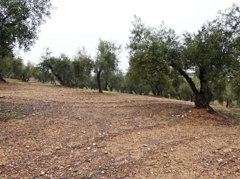 Land in Peligros, Granada for sale - Building Photo - Image 2 of 22