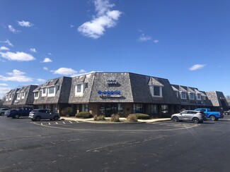 More details for 100 N Atkinson Rd, Grayslake, IL - Office for Rent