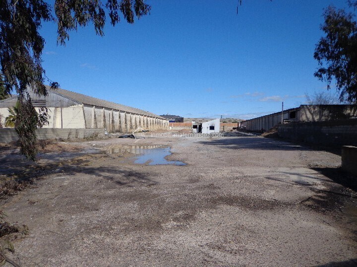 Land in Cáceres, Cáceres to rent Primary Photo- Image 1 of 7
