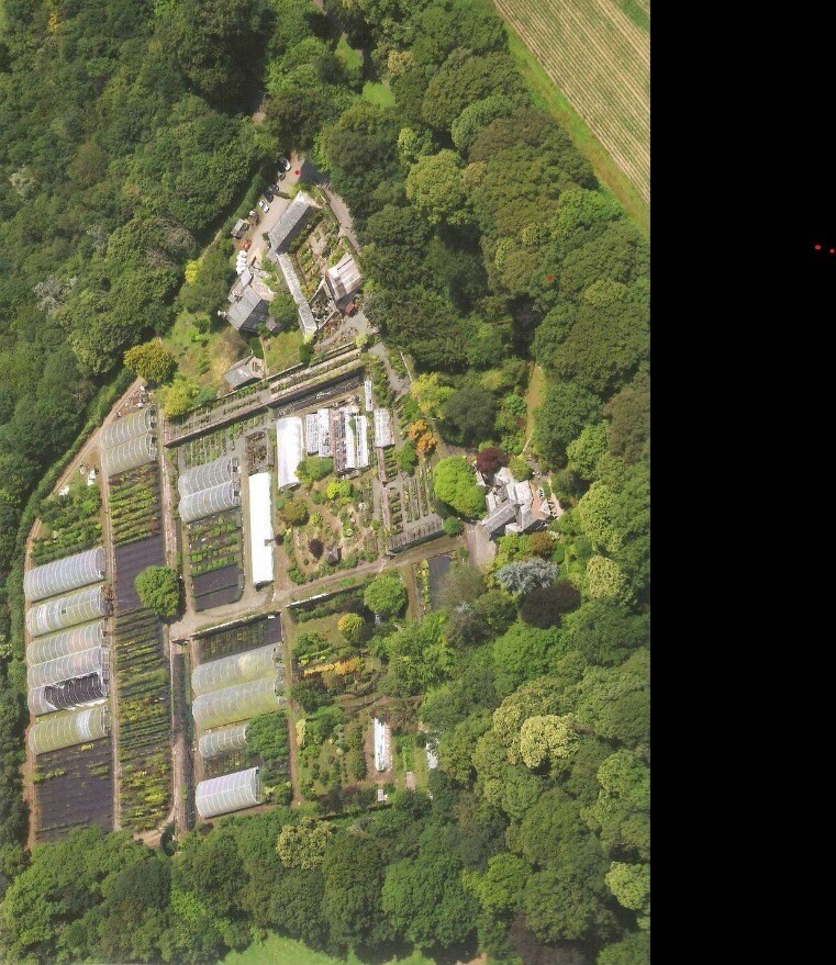 Milton Abbot, Milton Abbot for sale Primary Photo- Image 1 of 1