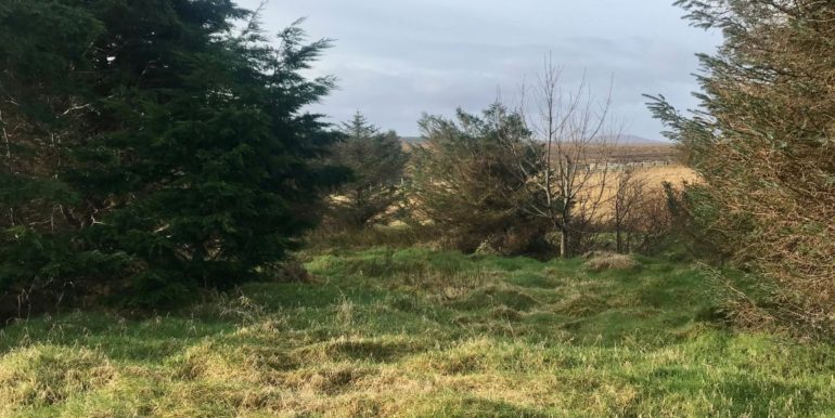 100A Outend Coll, Isle Of Lewis for sale Primary Photo- Image 1 of 1