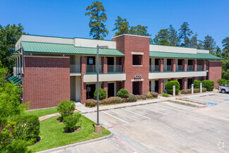 More details for 4225 Research Forest Dr, The Woodlands, TX - Office for Rent