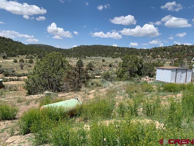 337 County 4018 rd, Navajo Dam, NM for sale - Building Photo - Image 3 of 9