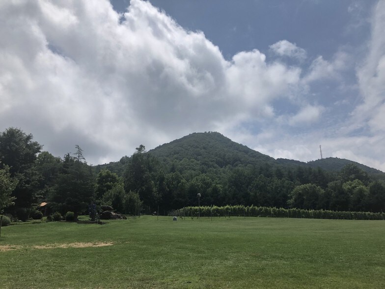 Walnut Mtn, Rabun Gap, GA for sale - Primary Photo - Image 1 of 1