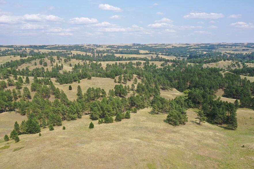 TBD BIA #33, Pine Ridge, SD for sale - Primary Photo - Image 1 of 11