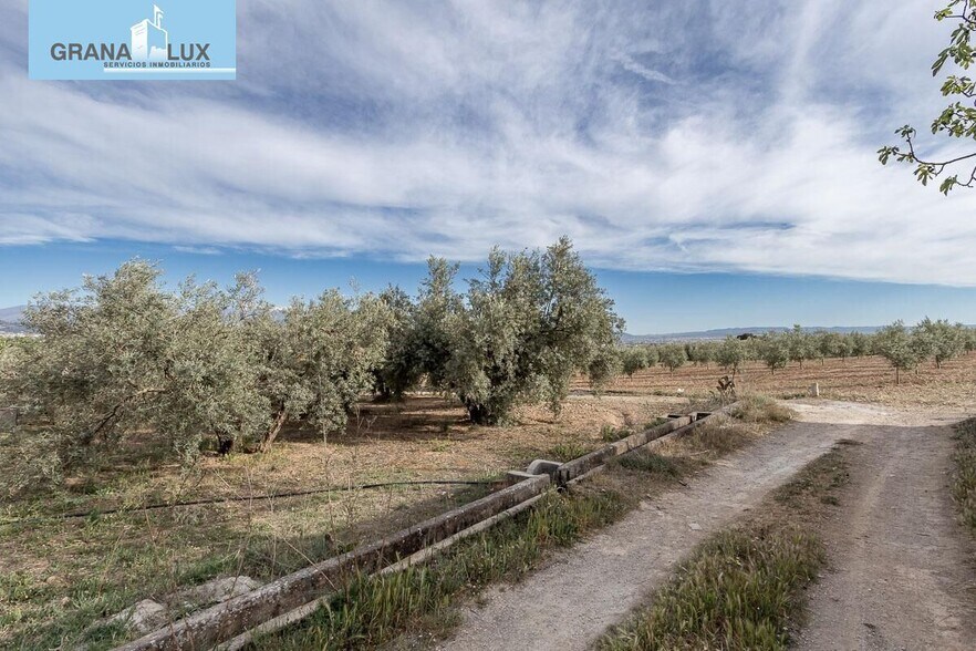 Pago de, Albolote, Granada for sale - Building Photo - Image 3 of 14
