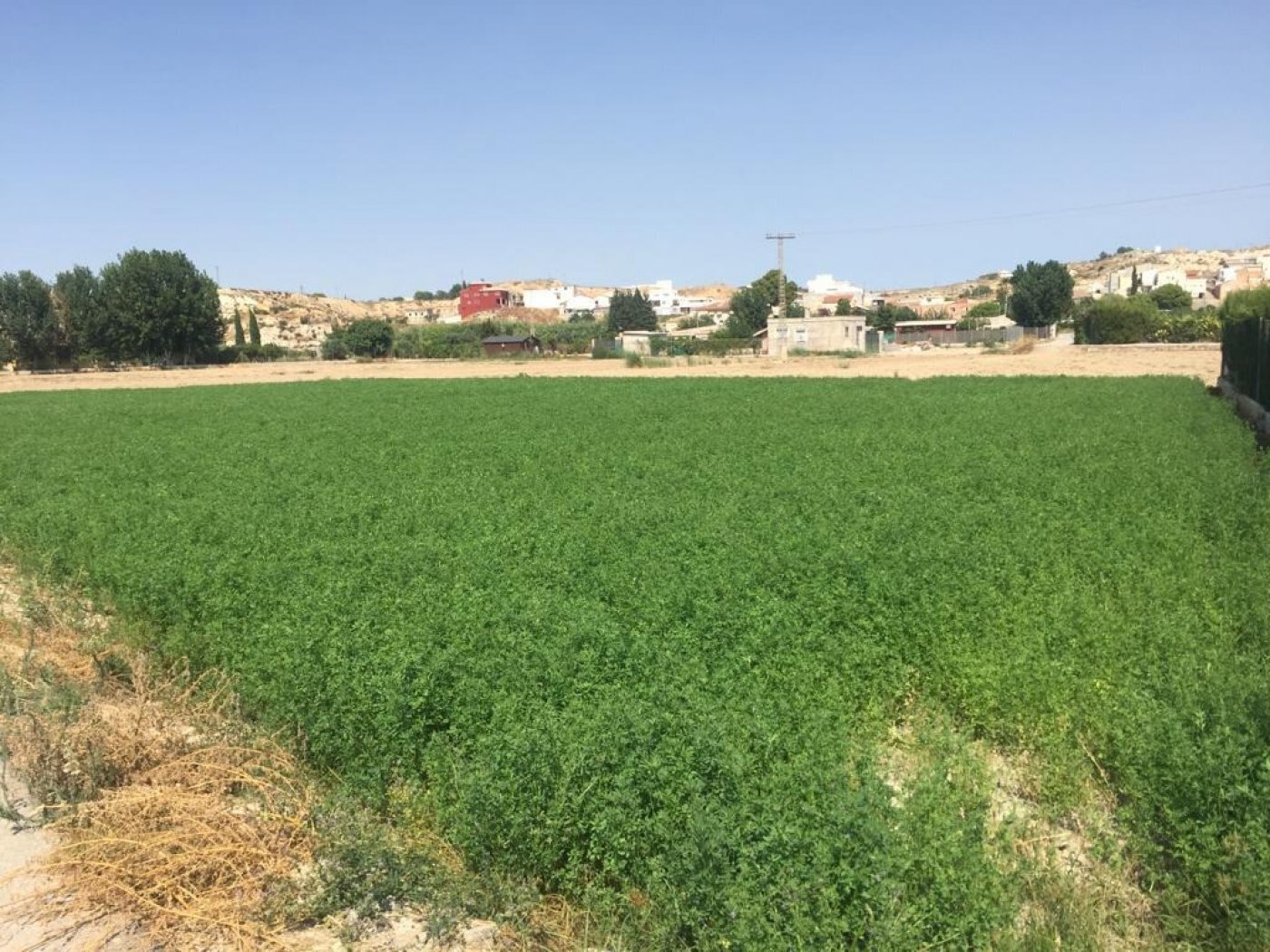 Land in Molina de Segura, Murcia for sale Site Plan- Image 1 of 7