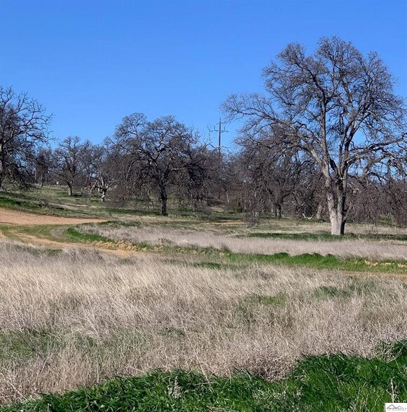 Monroe Ave, Red Bluff, CA for sale - Building Photo - Image 3 of 4