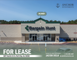 More details for 1015 Martin St S, Pell City, AL - Retail for Rent