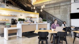 More details for 3350 Virginia St, Coconut Grove, FL - Coworking for Rent