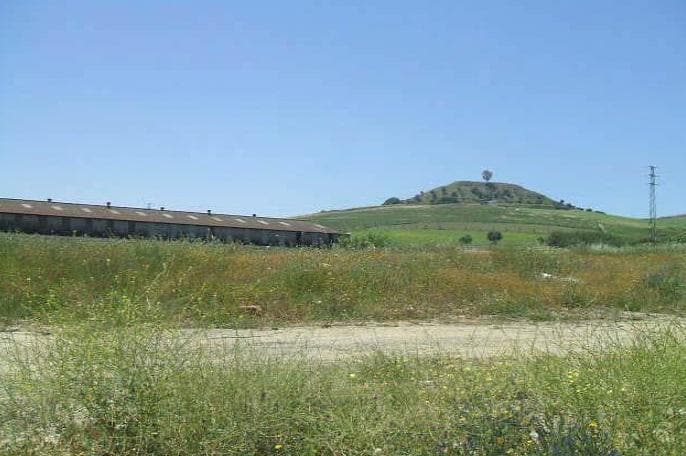 Carretera de Extremadura, 25B, Camas, Sevilla for sale - Floor Plan - Image 1 of 1
