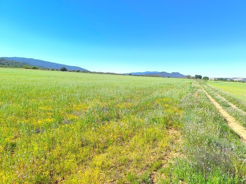 Land in Yecla, Murcia for sale - Aerial - Image 3 of 5