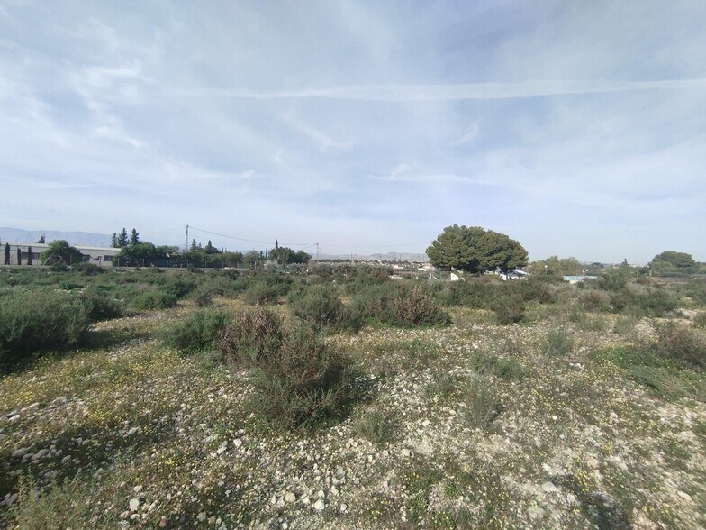 Boch, 1, Crevillent, Alicante for sale - Aerial - Image 3 of 14