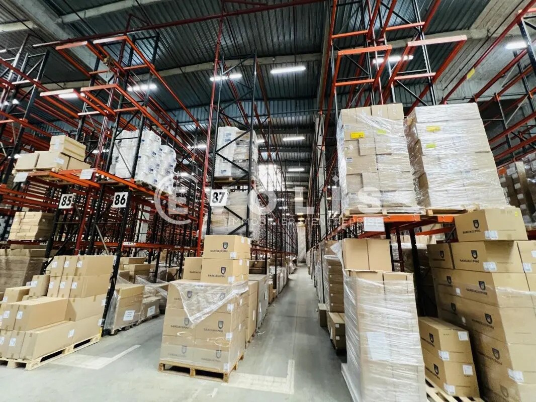 Industrial in Croissy-Beaubourg to rent Building Photo- Image 1 of 4