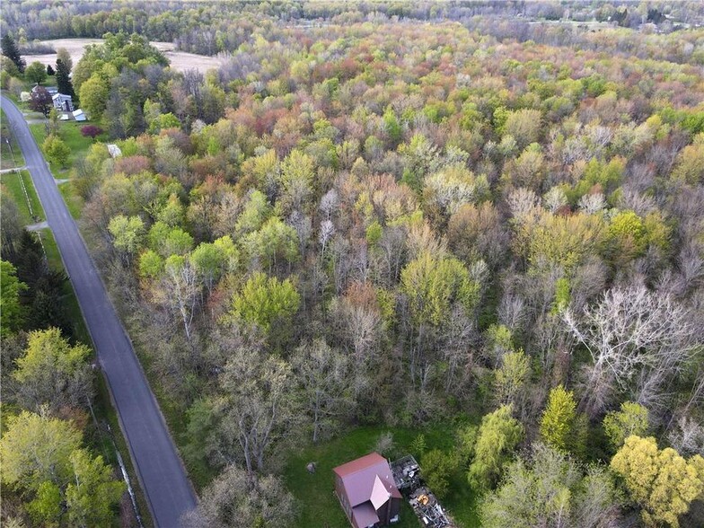 12666 Upton Rd, Red Creek, NY for sale - Aerial - Image 1 of 6