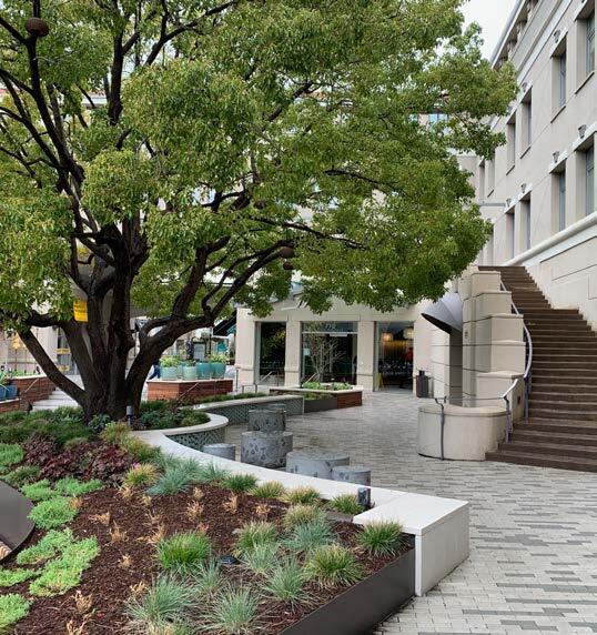 770 Tamalpais Dr, Corte Madera, CA to rent - Building Photo - Image 3 of 13