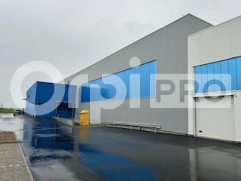 Light Industrial in Fareins to rent Building Photo- Image 1 of 10