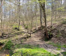 0 Ely Fork Rd, Sumerco, WV for sale Building Photo- Image 1 of 1