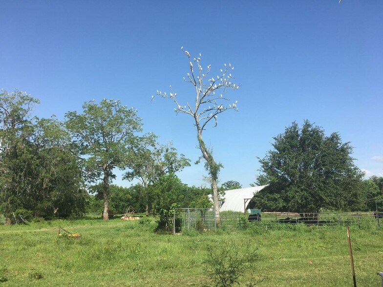 16419 Majestic Oaks dr, Rosharon, TX for sale - Primary Photo - Image 1 of 6