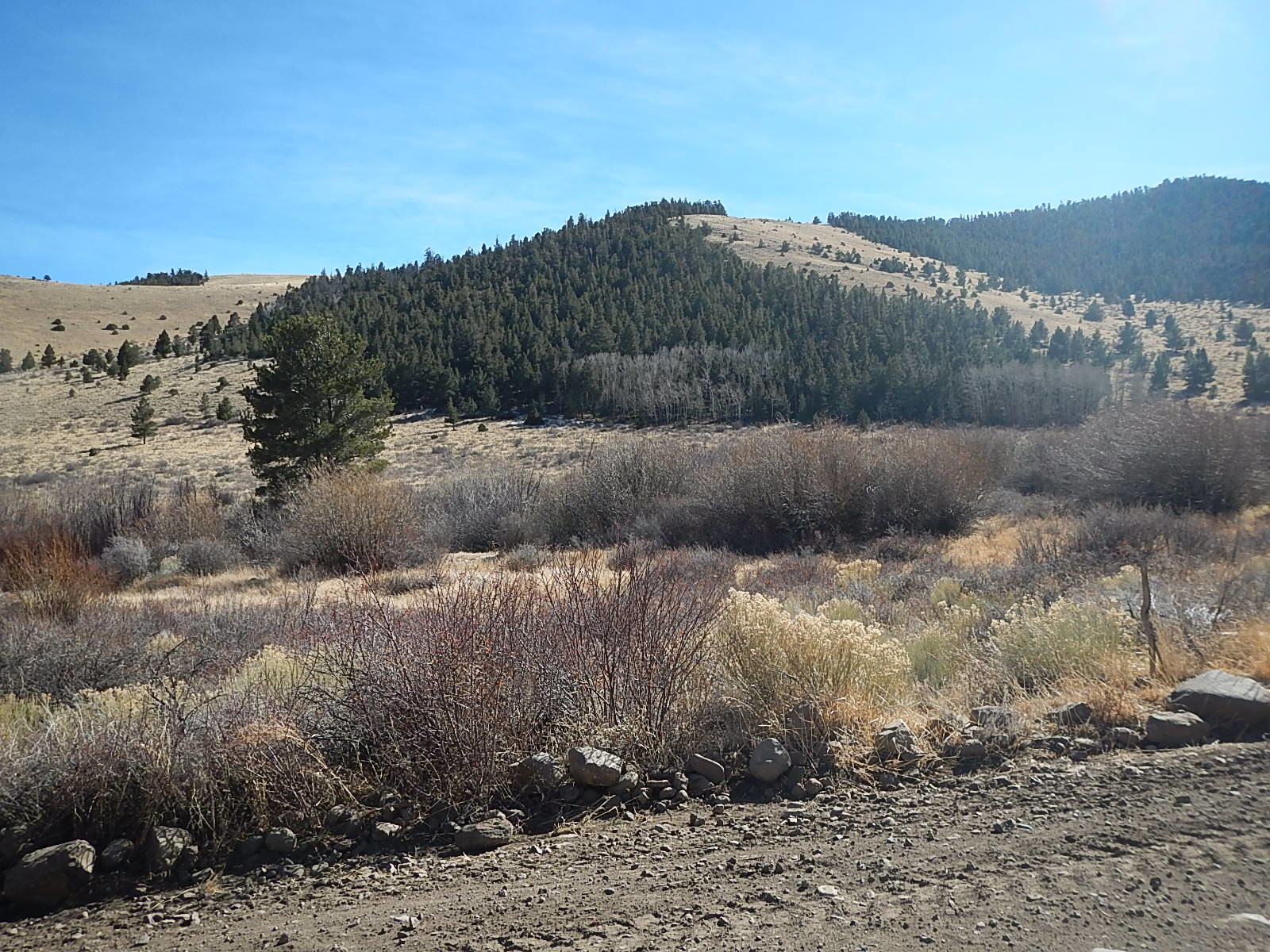 SAN FRANCISCO CREEK Rd, Del Norte, CO for sale Other- Image 1 of 1