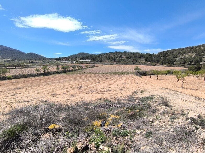 Land in Jumilla, Murcia for sale - Aerial - Image 3 of 4