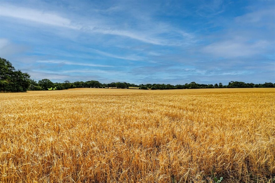 203 Toms Ln, Kings Langley for sale - Aerial - Image 2 of 4