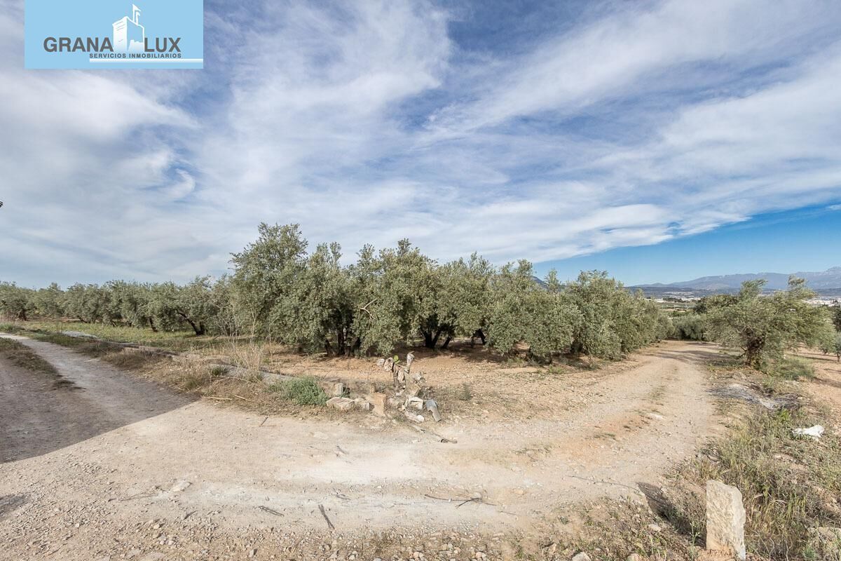 Pago de, Albolote, Granada for sale Primary Photo- Image 1 of 15