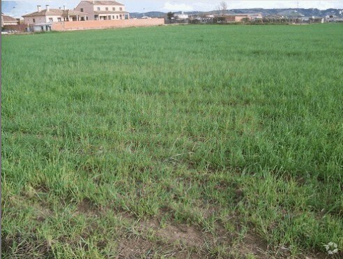 Carretera Calera, Talavera de la Reina, Toledo for sale - Building Photo - Image 2 of 5