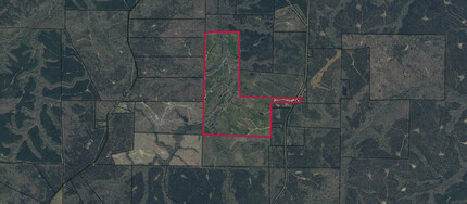 Talbot County Tract 32004A, Talbotton, GA for sale Aerial- Image 1 of 3