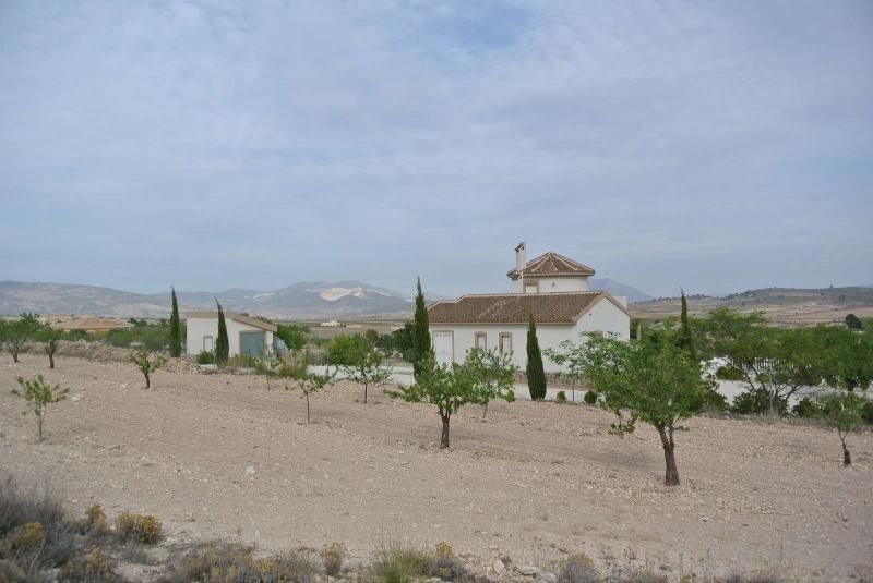 Land in Jumilla, Murcia for sale - Primary Photo - Image 1 of 15
