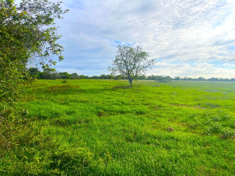 0- TRACT 4 COUNTY ROAD 25 -1, Damon, TX for sale - Primary Photo - Image 1 of 4