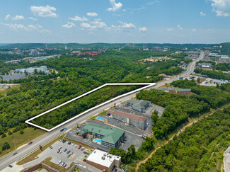 More details for 2315-2345 Shepherd Of The Hills Expressway, Branson, MO - Land for Sale