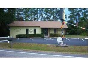 590 S Hwy 314A, Ocklawaha, FL for sale Primary Photo- Image 1 of 1