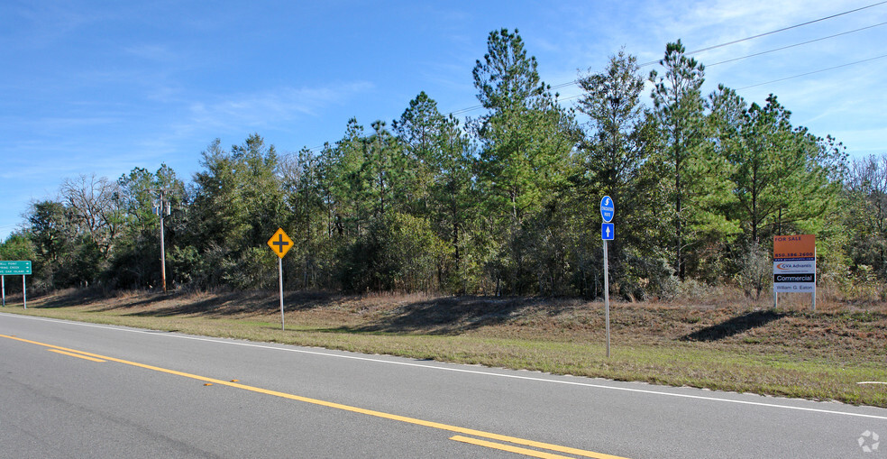 Us-98 @ Spring Creek Rd, Crawfordville, FL for sale - Primary Photo - Image 1 of 1