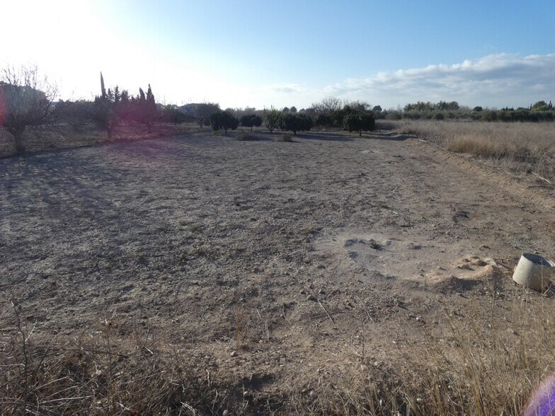 Land in Molina de Segura, Murcia for sale - Site Plan - Image 2 of 4