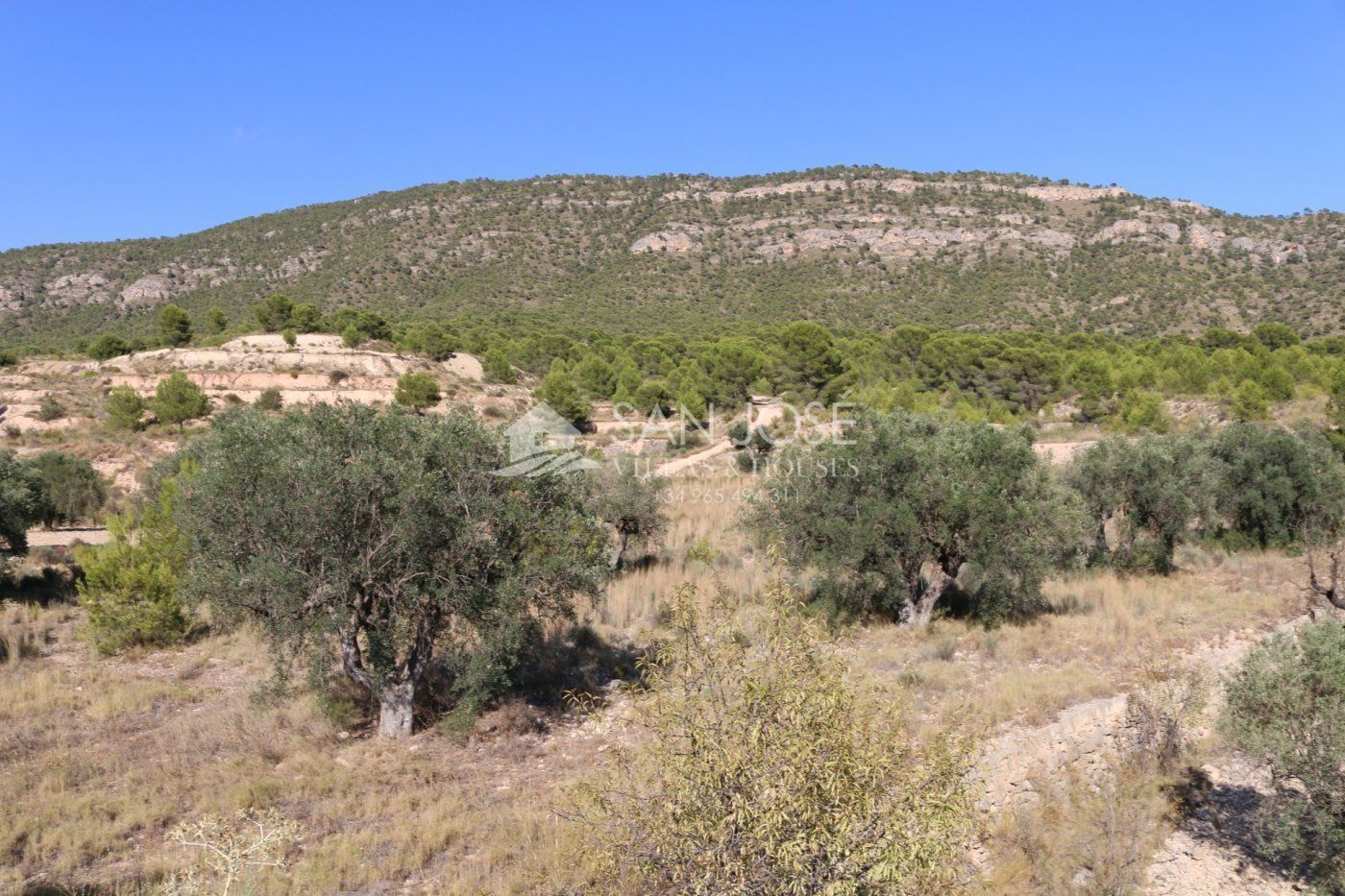 Land in MONÒVER, Alicante for sale Primary Photo- Image 1 of 18