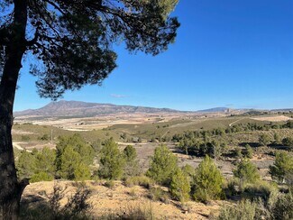 More details for Land for Sale
