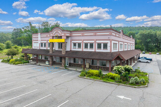 More details for 22 US Highway 6, Port Jervis, NY - Office/Medical, Retail for Rent