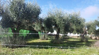 More details for Land for Sale