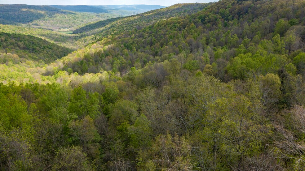 0 Northcutts Cove, Beersheba Springs, TN 37305 UK