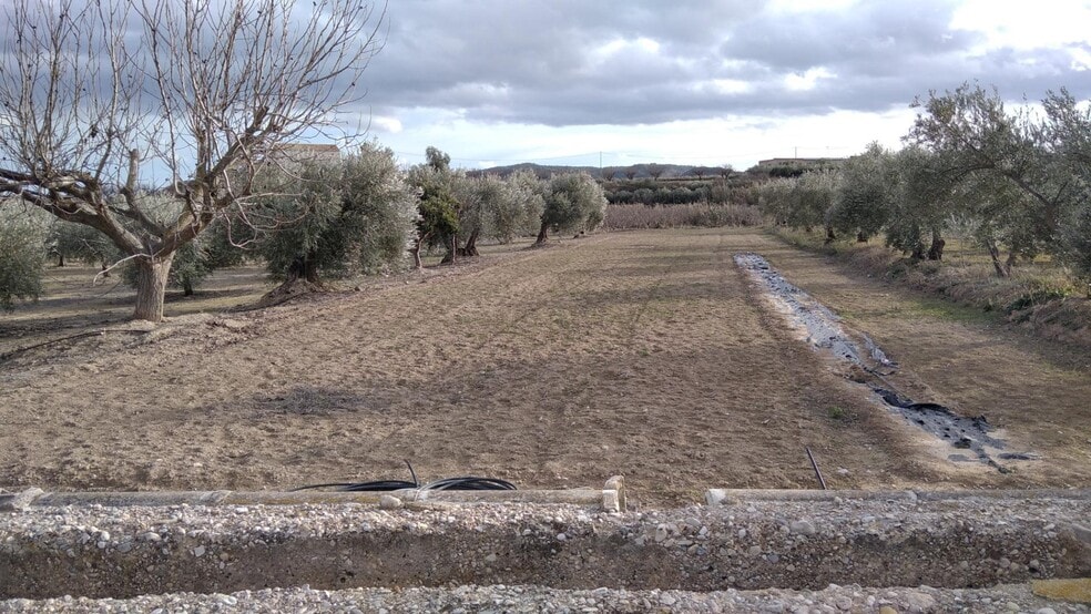 Land in Calasparra, Murcia for sale - Building Photo - Image 1 of 26