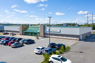 More details for 2175 Robertson Rd, Ottawa, ON - Light Industrial to Rent