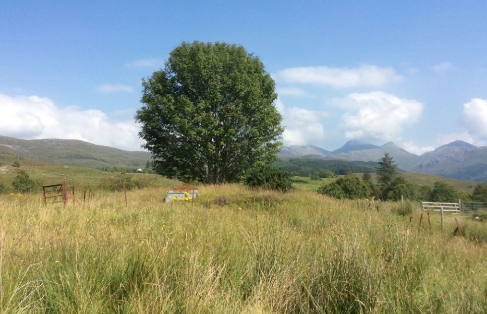 Scotstown, Acharacle for sale Primary Photo- Image 1 of 1