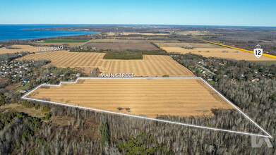 Main St E st, Brock, ON for sale Aerial- Image 1 of 2