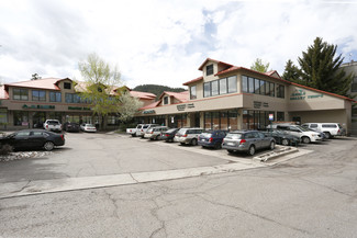 More details for 150 E Beaver Creek Blvd, Avon, CO - Retail for Sale