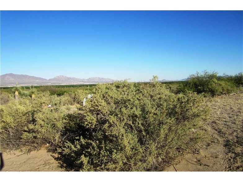 1929 Alvarez Rd, Anthony, NM for sale - Primary Photo - Image 1 of 1