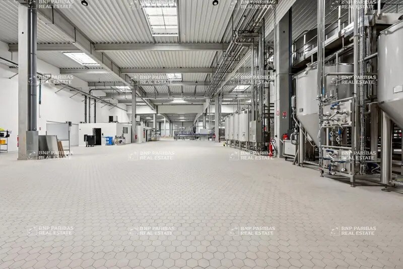 Light Industrial in Sucy-en-Brie to rent - Interior Photo - Image 2 of 20